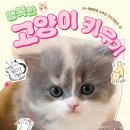 행복한고양이 네이버블로그