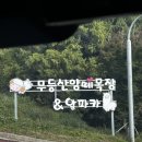 양떼푸드 네이버블로그