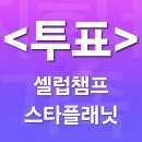 [투표] 셀럽챔프, 스타플래닛 투표안내🗳 이미지