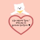 챠밍애견 이미지