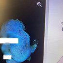 피앤피뷰티연구소 | 광주피부관리 피앤피뷰티연구소 방문 후기