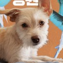 소명한방병원 이미지