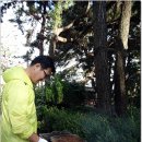 동래금정마을 Daum카페