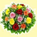 문화동011 이미지