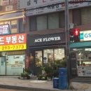 에이스플라워 이미지