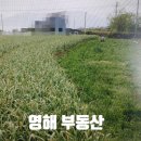 영해공인중개사사무소 이미지