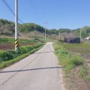 전 기황후 릉 터 이미지