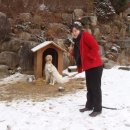 평창그린힐리조트 이미지