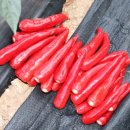 재희농장 이미지