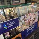 SAI MEDICAL 이미지