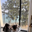 전남돌산여수하루쉼표오션뷰가족펜션 | 아이랑 가기 좋은 여수 오션뷰 씨앤블루 키즈펜션 내돈내산 솔직후기
