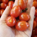 계림상회 이미지