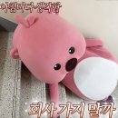 9월 2주차~!
