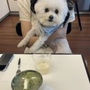 테이트하우스