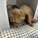 도기다이닝 이미지