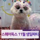 스퀘어독스 롯데남악점 이미지