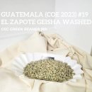 콩내음미가 | 생두 볶는 법 GSC 과테말라 생두 C.O E #19 엘 사포테 게이샤 워시드 그린비너9기 생두리뷰