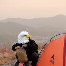 영인면 토정로 네이버블로그