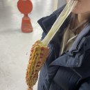 구리전통시장_전통시장저잣거리 | 2천 원으로 치즈폭발! 구리 전통시장 앞 구리핫도그 솔직 후기 (치즈길이 실화?)