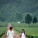 율포농장 이미지