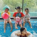 오떼떼 블루 이미지