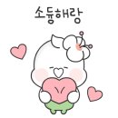 장미의거리13 이미지