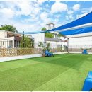 낭만애견 이미지