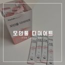 [데이풀] 모던풀 다이어트로 365일 건강하게, 차전자피 효능을 자세히 알아보자!