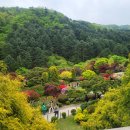 눈을 떳어요. 이미지