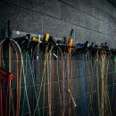 경희대 석사 비룡 태권도 이미지