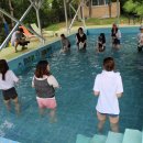 달려라 해피 이미지