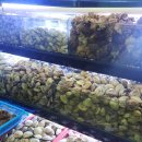 조개반장 | [의정부] 조개반장 조개찜맛집