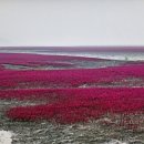황토와풍경