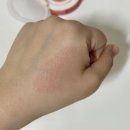 다이소 화장품추천 입큰 퍼스널 톤 쿠션 블러셔 디어 코랄 발색 후기 | 웜톤 블러셔추천