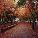 침산로22길 이미지