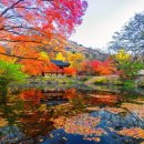 11월 첫째주 주식시황 이미지