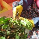 상읍농장 이미지