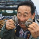 달리도 민박 이미지