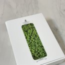 자연가습 이끼 테라리엄 이미지