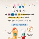마카롱스테이