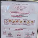 윤성타운 | 딜라이트 프로젝트 먼작귀 팝업 3월 올리브영 홍대타운 후기