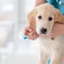 신공항동물병원 이미지