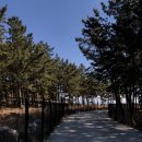 오천농업협동조합하나로마트 이미지