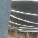 파동 제2경로당 | 수원 파충류 동반자, ♬ 작은 물결:파동, 파충류 동반자 방문 후기 ♬