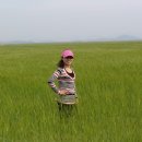 4월의밀밭 이미지