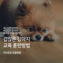 아이들 동물병원 이미지