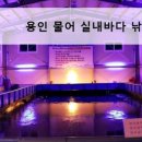 물어실내바다낚시터 이미지