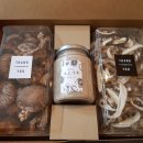 케이팜스타 이미지