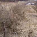 가곡면사무소 이미지