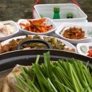 향기나꼬꼬 이미지